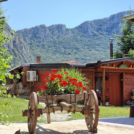 Konak -Guest House -Ramonda Serbika Ni Dış mekan fotoğraf