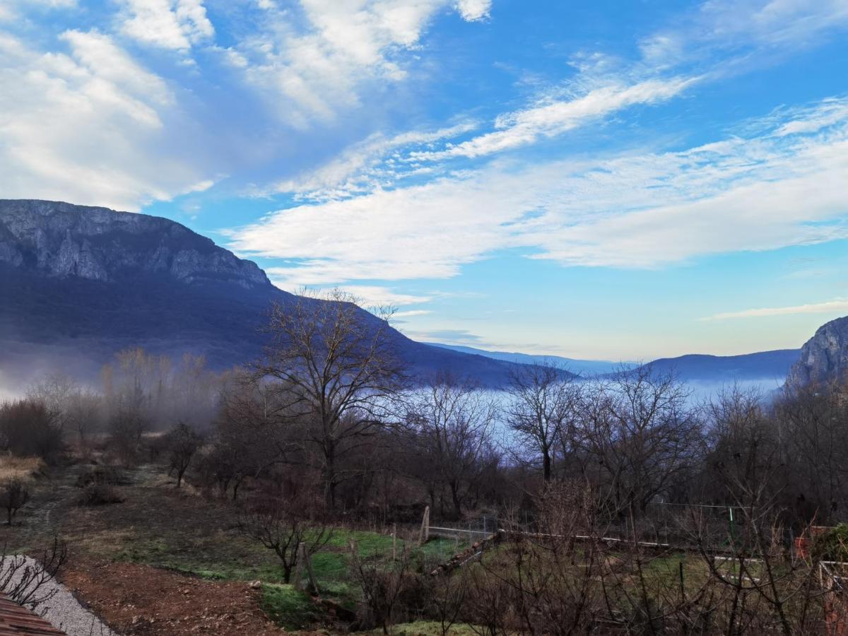 Konak -Guest House -Ramonda Serbika Ni Dış mekan fotoğraf