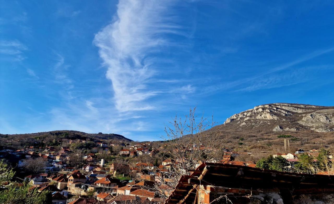 Konak -Guest House -Ramonda Serbika Ni Dış mekan fotoğraf