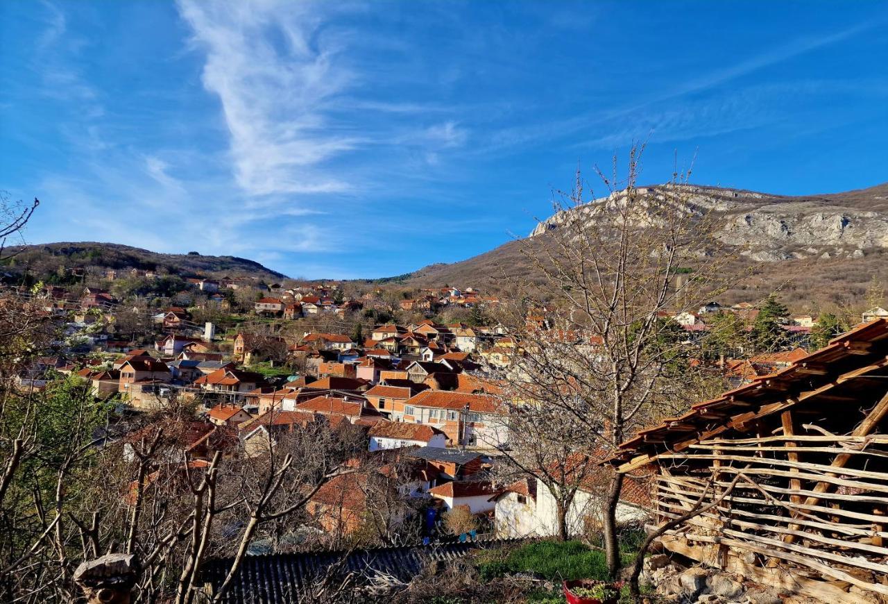 Konak -Guest House -Ramonda Serbika Ni Dış mekan fotoğraf